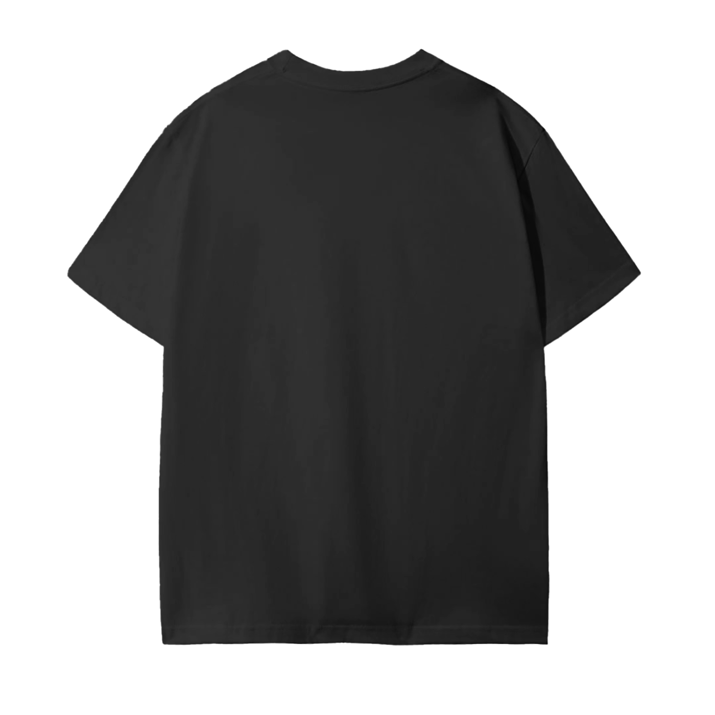 NYS Fair Social Club - Self Appointed Poultry Judge T-Shirt