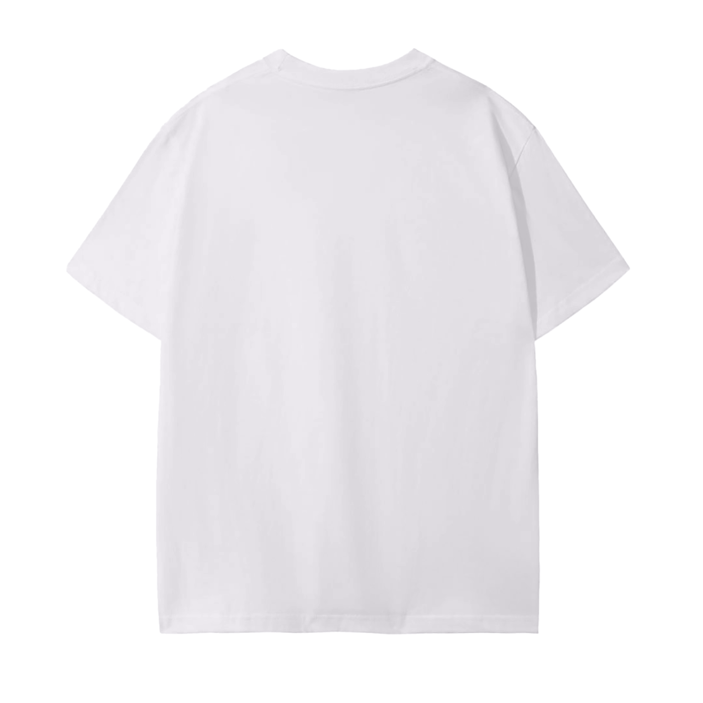 NYS Fair Social Club - Self Appointed Poultry Judge T-Shirt